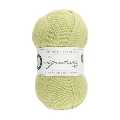 WYS Signature Solid 4ply Spices and Flowers