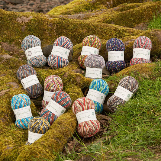 A picture of all the wonderful yarns from the West Yorkshire Spinners Birds collection on a backdrop of mossy rock and grass