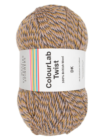 WYS ColourLab DK Twist