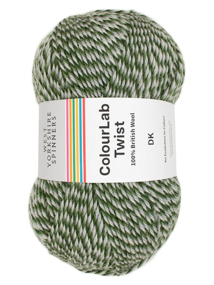 WYS ColourLab DK Twist