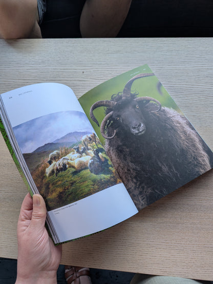 The Journal of Scottish Yarns - Issue 9